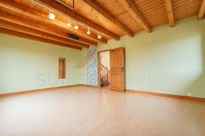 Maison familiale d'exception avec piscine, sauna et grand jardin à La Brillaz (16)