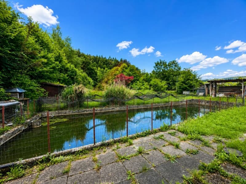 Naturparadies mit 7 Fischteichen - Einzigartige Freizeit- und Fischzuchtanlage in Gränichen (4)