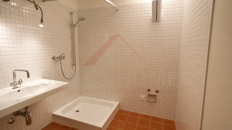 Lichtdurchflutete 2.5-ZimmerGartenwohnung mit flexibler Grundrissgestaltung (12)