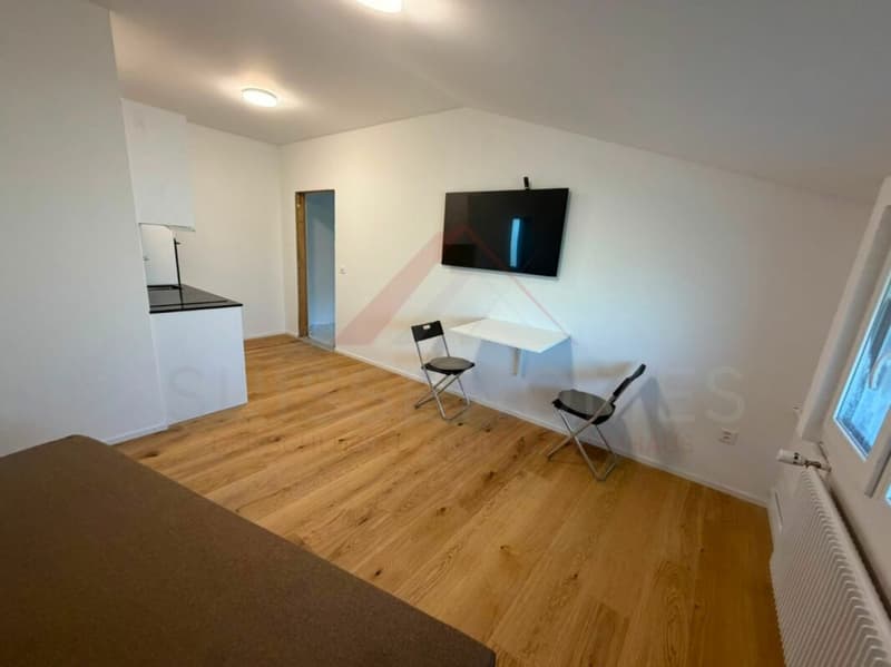 Modernes 1.5-Zimmer-Studio im Erdgeschoss - neuwertig, ruhig und mit attraktiven Inklusivleistungen (2)