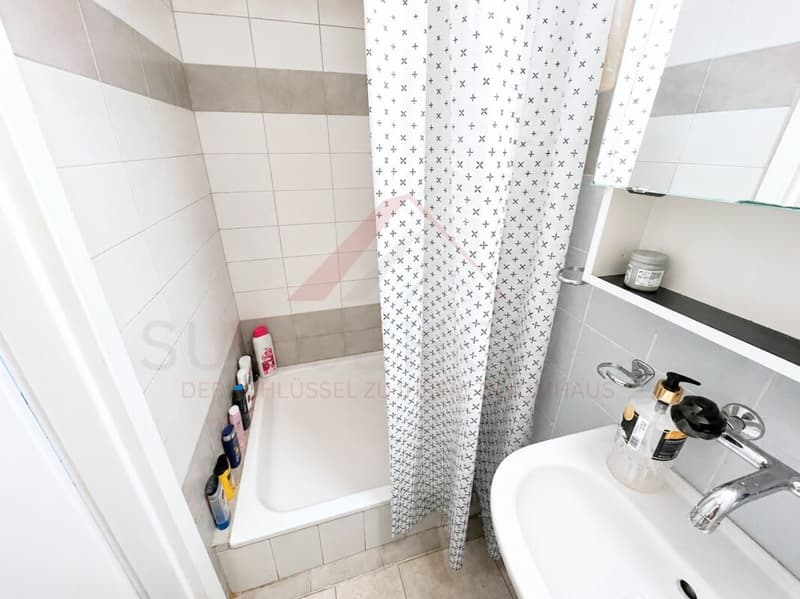 Mehrfamilienhaus mit grossem Entwicklungspotenzial in attraktiver Lage (8)