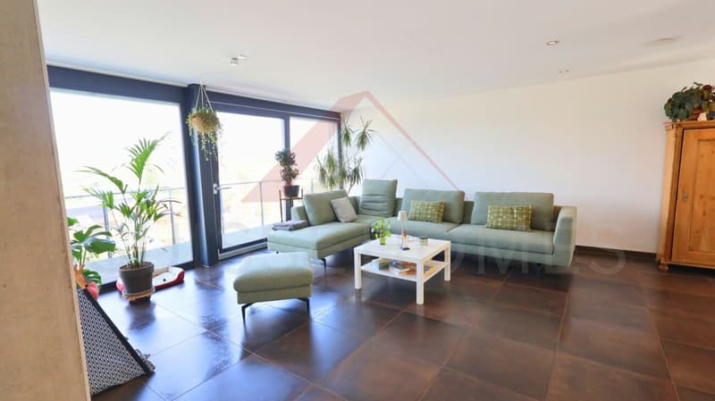 Porrentruy - Villa Minergie (HPE) 5.5 pièces avec parcelle 1'119 m² et vue panoramique (2)