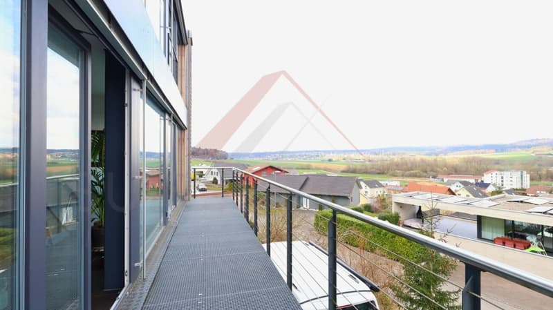 Porrentruy - Villa Minergie (HPE) 5.5 pièces avec parcelle 1'119 m² et vue panoramique (18)