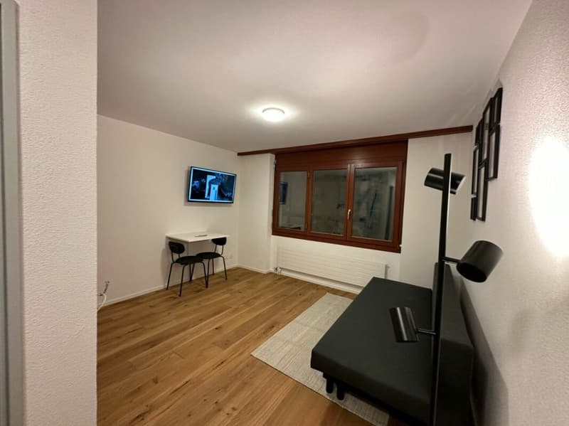 Zur Vermietung steht ein neuwertiges Studio mit 18 m² (1)