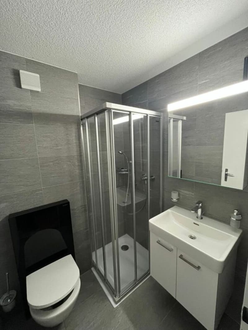 Zur Vermietung steht ein neuwertiges Studio mit 18 m² (3)