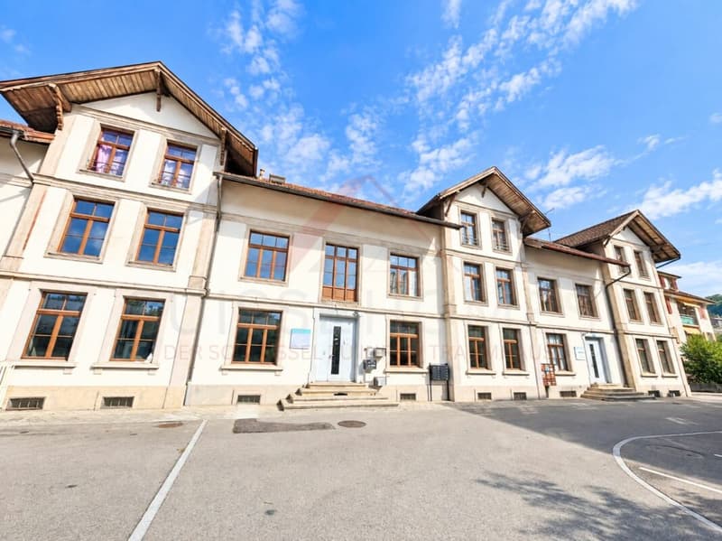 Historisches Fabrikensemble mit bestehendem Ertrag und Entwicklungspotenzial (18)