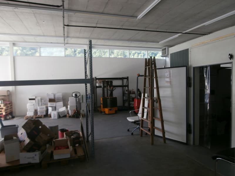 P7190094