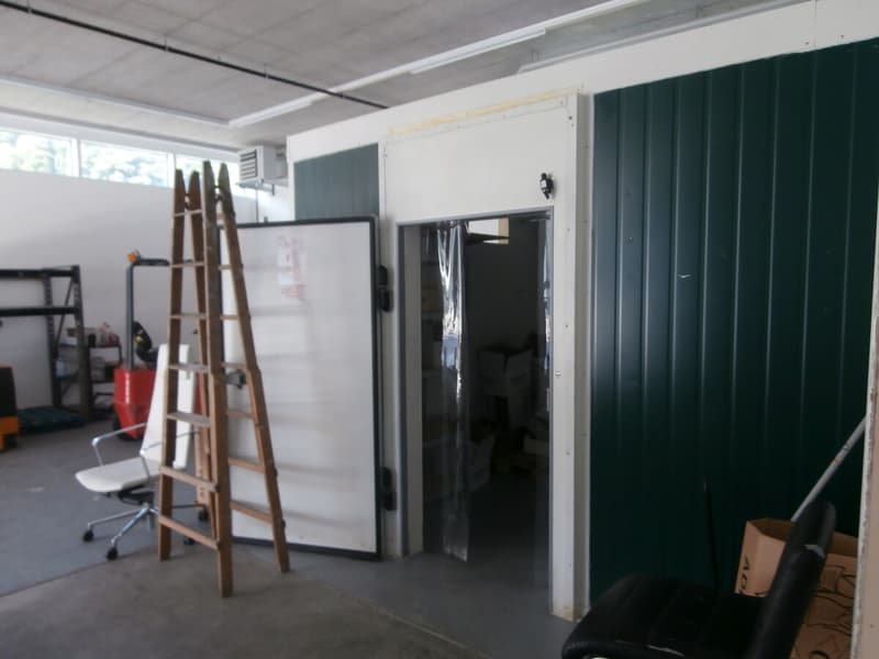P7190095