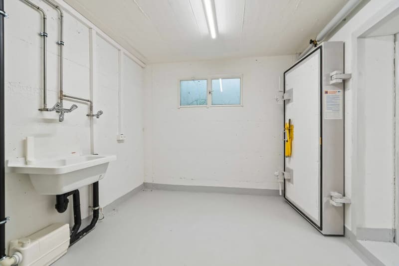 2025 Kernsaniert - 5.5 Zimmer EFH in Bergdietikon (32)