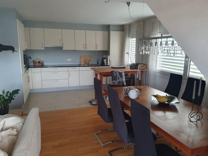 Ruhige, nachhaltige Wohnung im steuergünstigen Flurlingen zu vermieten (5)