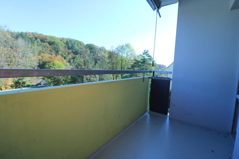 Appartement de 4 pièces rénové (9)