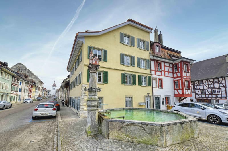 Propriété commerciale à Neunkirch (6)