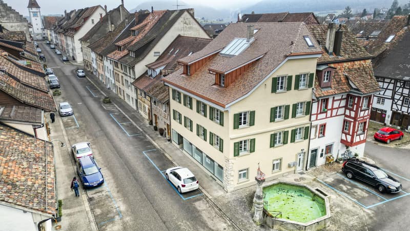 Propriété commerciale à Neunkirch (7)