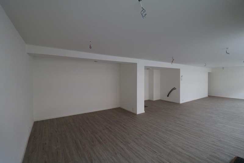 Propriété commerciale à Neunkirch (2)