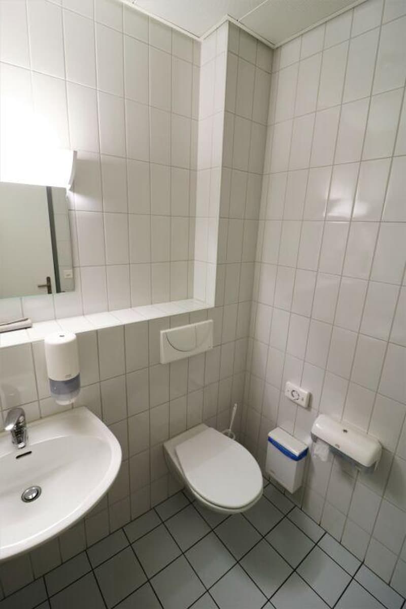 Locaux commerciaux inondés de lumière, espace pour votre vision ! (9)