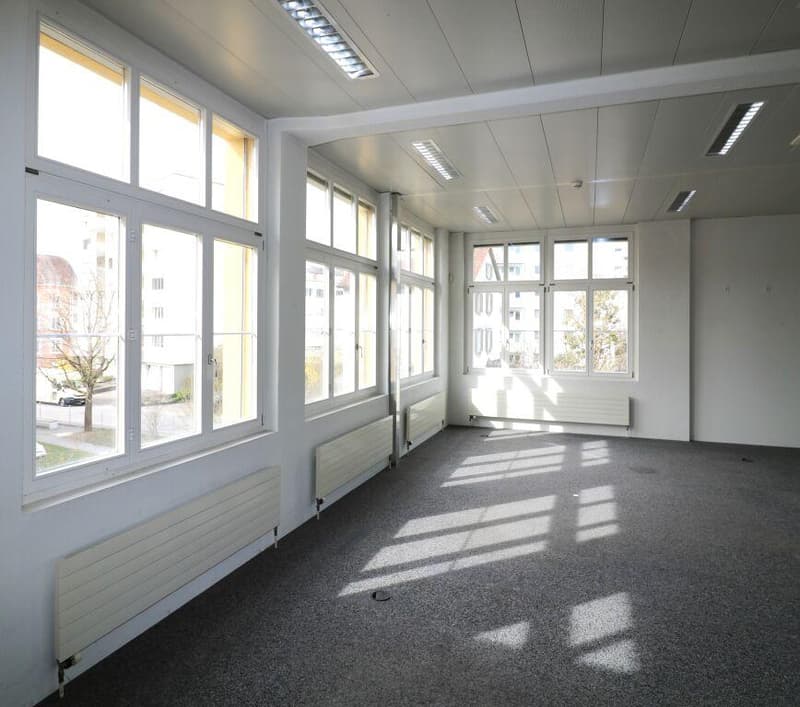 Locaux commerciaux inondés de lumière, espace pour votre vision ! (4)