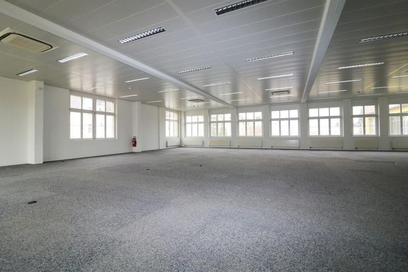 Locaux commerciaux inondés de lumière, espace pour votre vision ! (6)