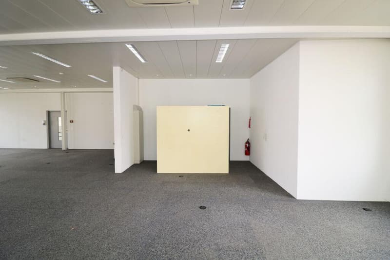 Locaux commerciaux inondés de lumière, espace pour votre vision ! (7)