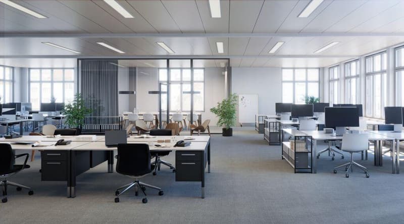 Locaux commerciaux inondés de lumière, espace pour votre vision ! (2)