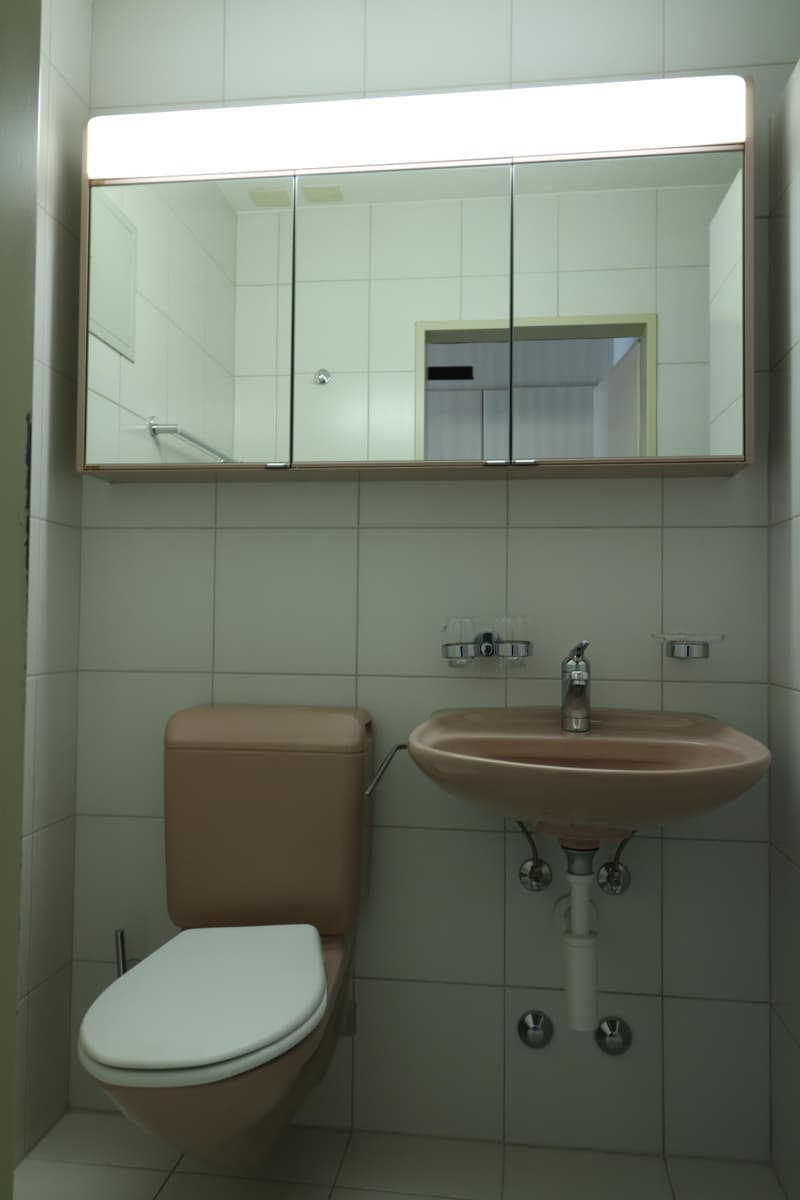Appartamento 1.5 locali a Regensdorf (5)