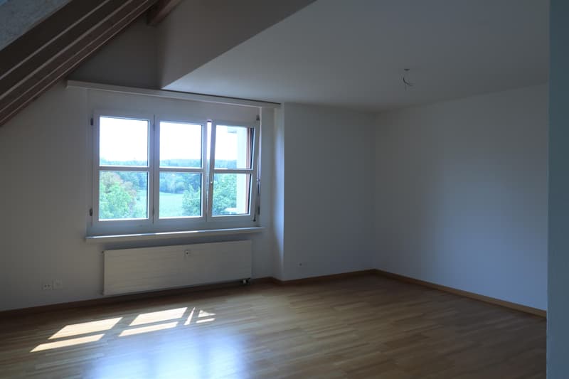 Appartamento 1.5 locali a Regensdorf (2)