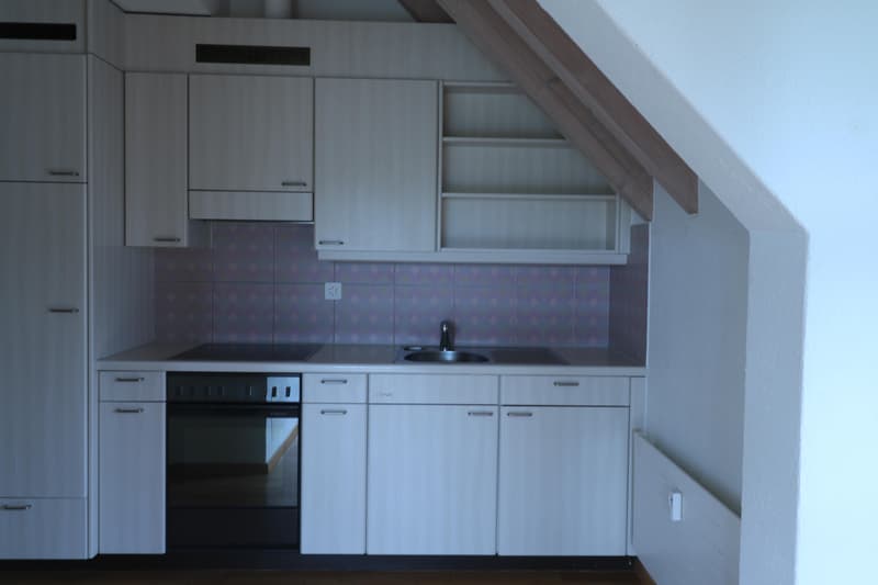 Appartamento 1.5 locali a Regensdorf (3)