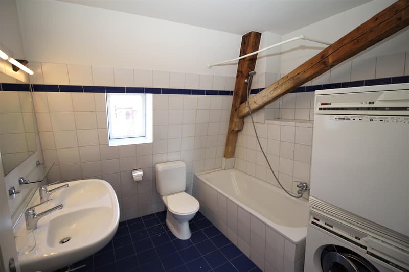 Appartement 3.5 pièces à Schaffhausen (8)