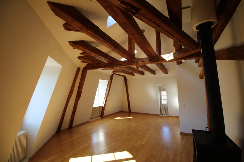Appartement 3.5 pièces à Schaffhausen (3)