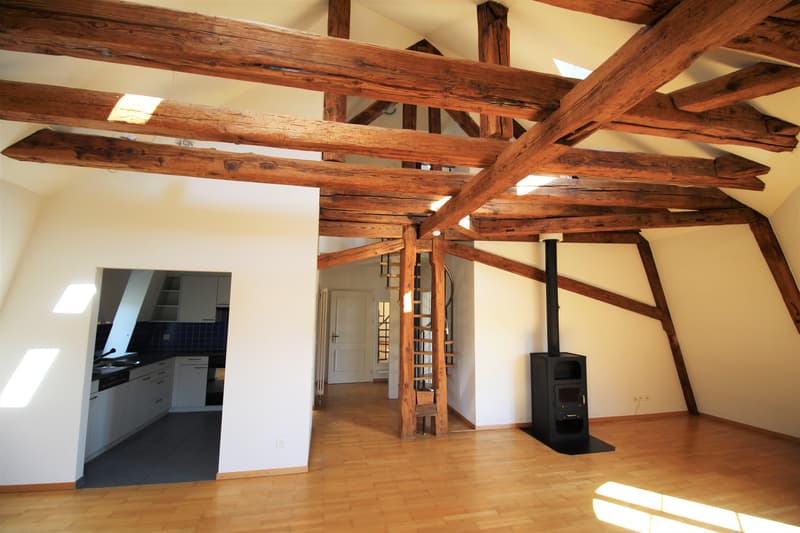 Appartement 3.5 pièces à Schaffhausen (2)