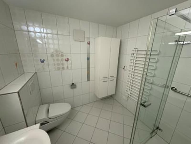 Appartement spacieux et lumineux à Flurlingen près du Rhin (6)