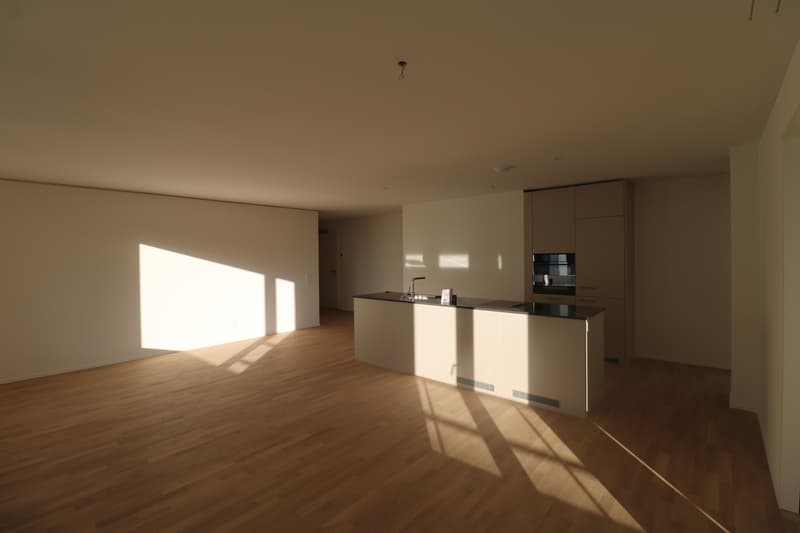 4.5-Zimmerwohnung im Herzen von Neuhausen (9)