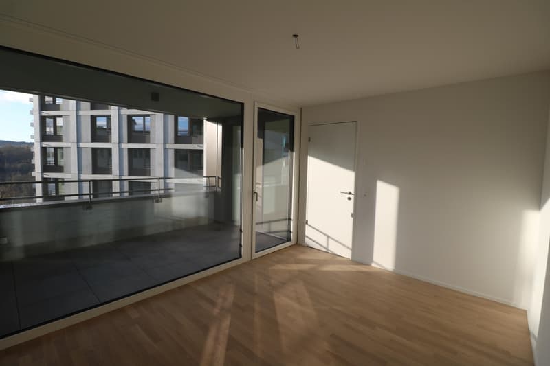 4.5-Zimmerwohnung im Herzen von Neuhausen (6)