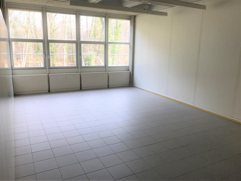 Lichtdurchflutete Gewerbe-/Büroräume zur individuellen Nutzung (6)