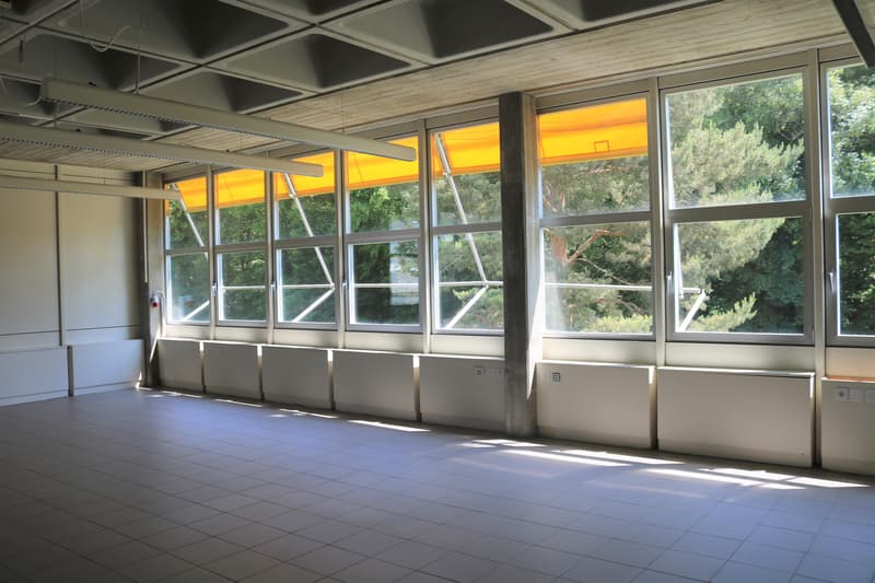 Lichtdurchflutete Gewerbe-/Büroräume zur individuellen Nutzung (5)