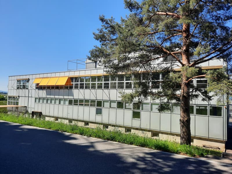Lichtdurchflutete Gewerbe-/Büroräume zur individuellen Nutzung (1)
