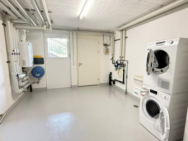 Grossartiges Bijou direkt am Rhein zu vermieten (12)