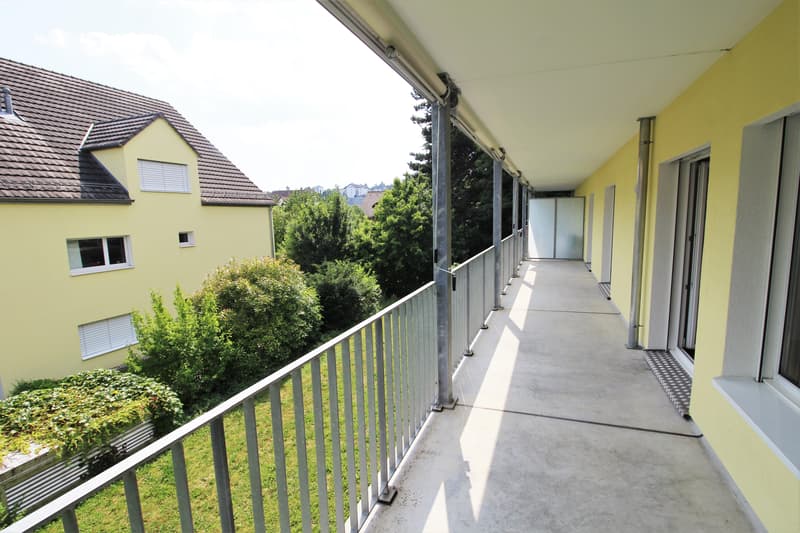 Ihre Gelegenheit! Charmante 3,5 Zimmerwohnung an begehrter Lage zu vermieten! (8)