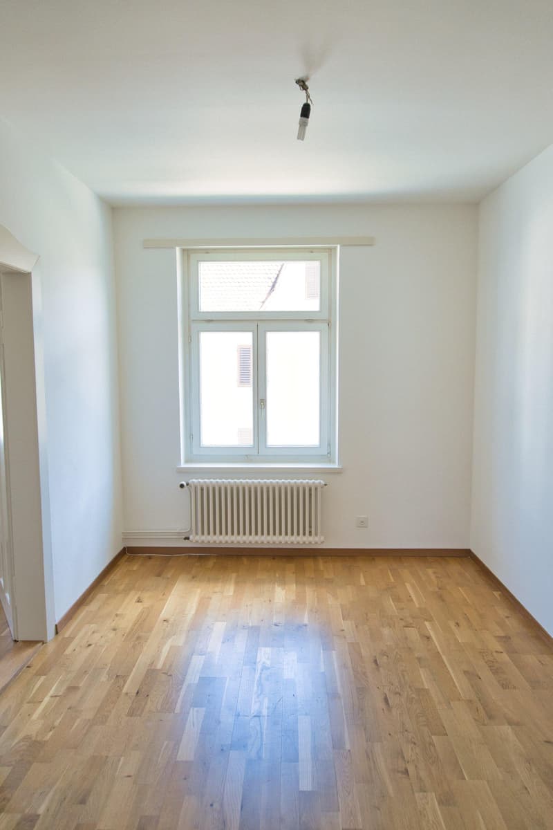 4-Zimmerwohnungen an Toplage in Schaffhausen  Erstvermietung nach Renovation (5)
