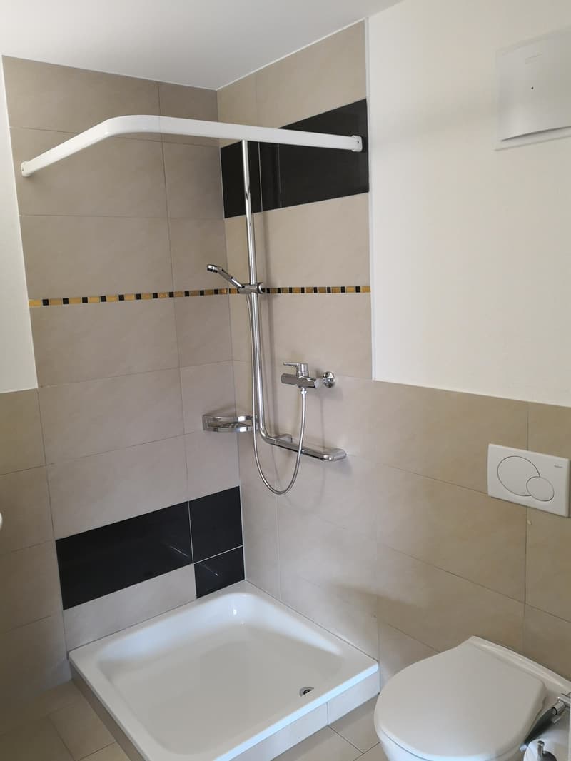 Schöne, sonnige 4½-Zimmerwohnung in der Nähe des Rheins zu vermieten (6)