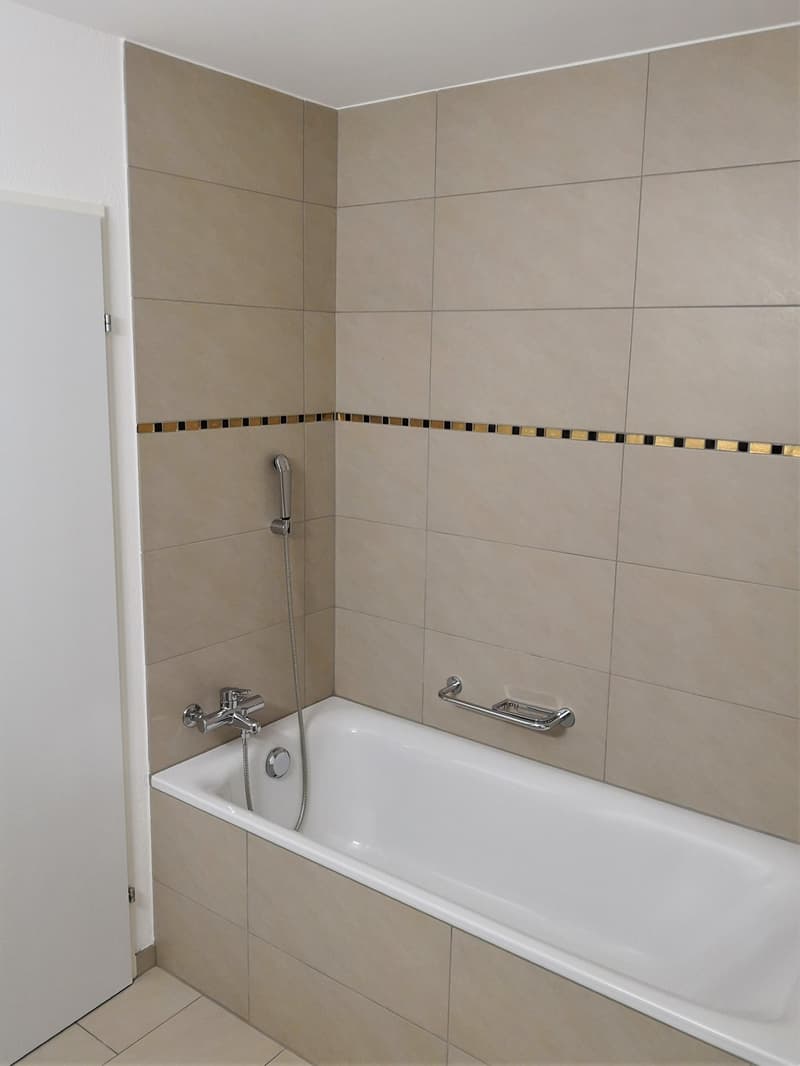 Schöne, sonnige 4½-Zimmerwohnung in der Nähe des Rheins zu vermieten (8)