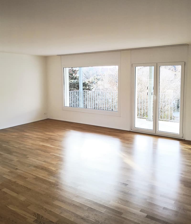 Schöne, sonnige 4½-Zimmerwohnung in der Nähe des Rheins zu vermieten (3)