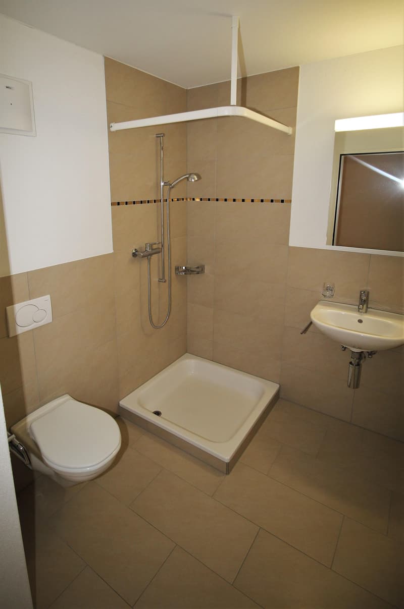 Helle 4.5 Maisonettewohnung mit Balkon in der Nähe des Rheins zu vermieten (8)