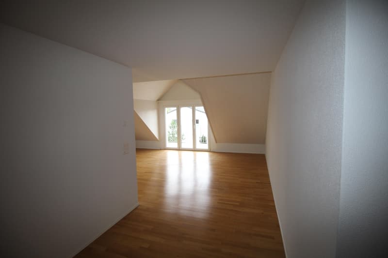 Helle 4.5 Maisonettewohnung mit Balkon in der Nähe des Rheins zu vermieten (3)