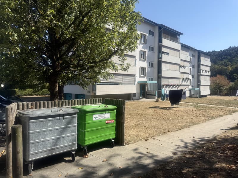 Gemütliche 4.5-Zimmerwohnung in Feuerthalen (2)