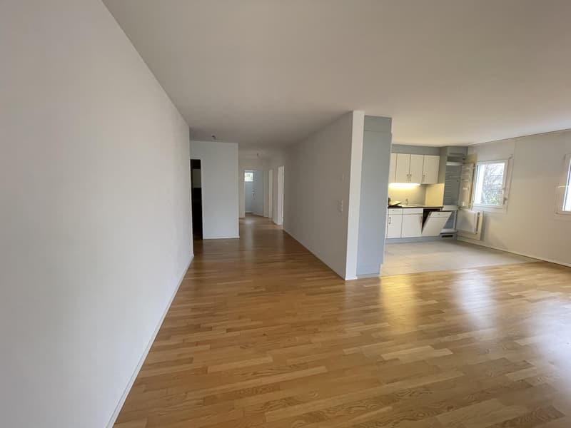 Ihre Gelegenheit! Charmante 4,5 Zimmerwohnung an begehrter Lage zu vermieten! (6)