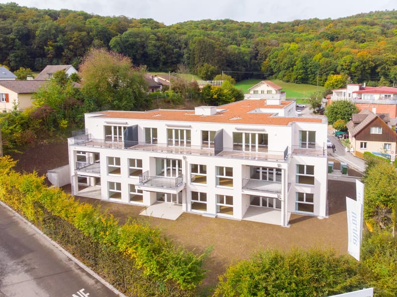 Moderne 4.5-Zimmerwohnung im EG in Thayngen (1)