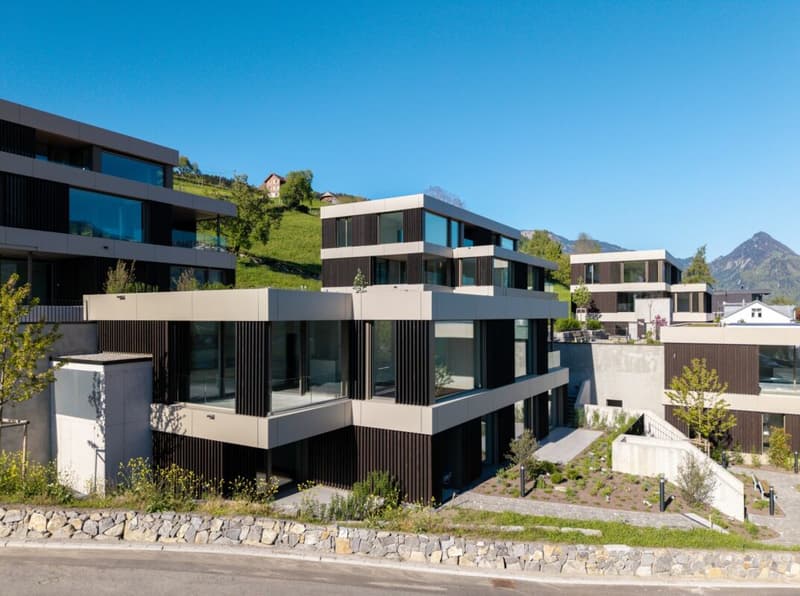 Architektur, Komfort und Nachhaltigkeit mit Weitblick (1)