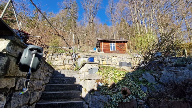 "BAISSE DE PRIX" Maison individuelle à Moutier avec véranda et grand garage (9)