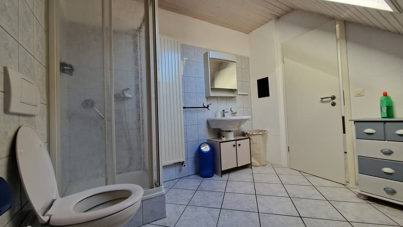 shower, toilet, sink, blue trash can, washing machine, mirror