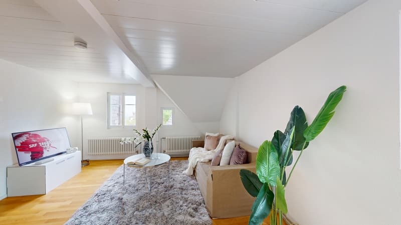 25-Zimmer-Schmiedgasse-6-Herisau-Wohnzimmer.jpg